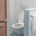 Lipno Wellness - C 301 * 弗林布尔克