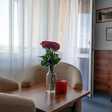 Apartament Lipno Wellness - C 301 *