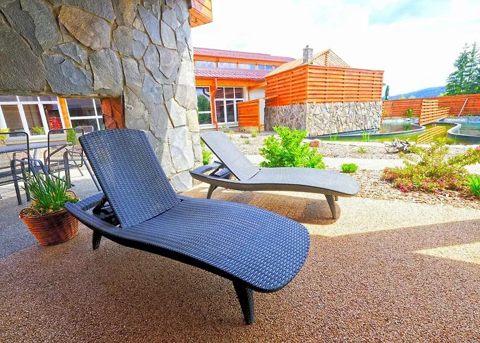Lipno Wellness - C 301 Frymburk
