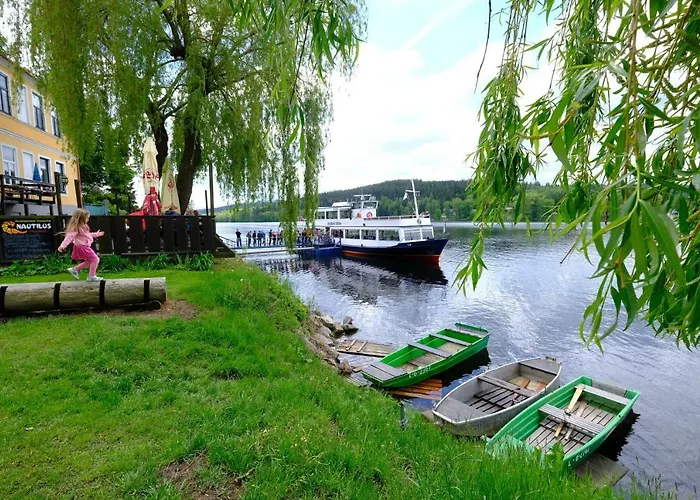 Lipno Wellness - C 301 * Frymburk